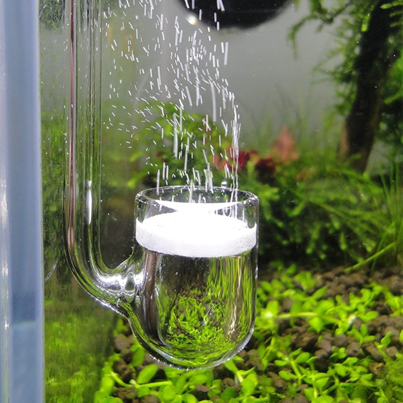 Aquarium Plant Delivery - D0AD Glazen CO2-diffusor voor aquarium, beplant
