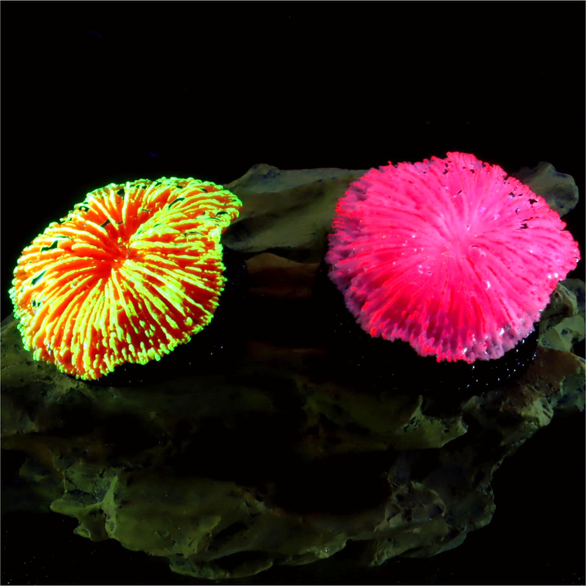 Aquarium Planet - 1 stuk aquariumdecoratie, zaagkoraal, mini fluorescerend