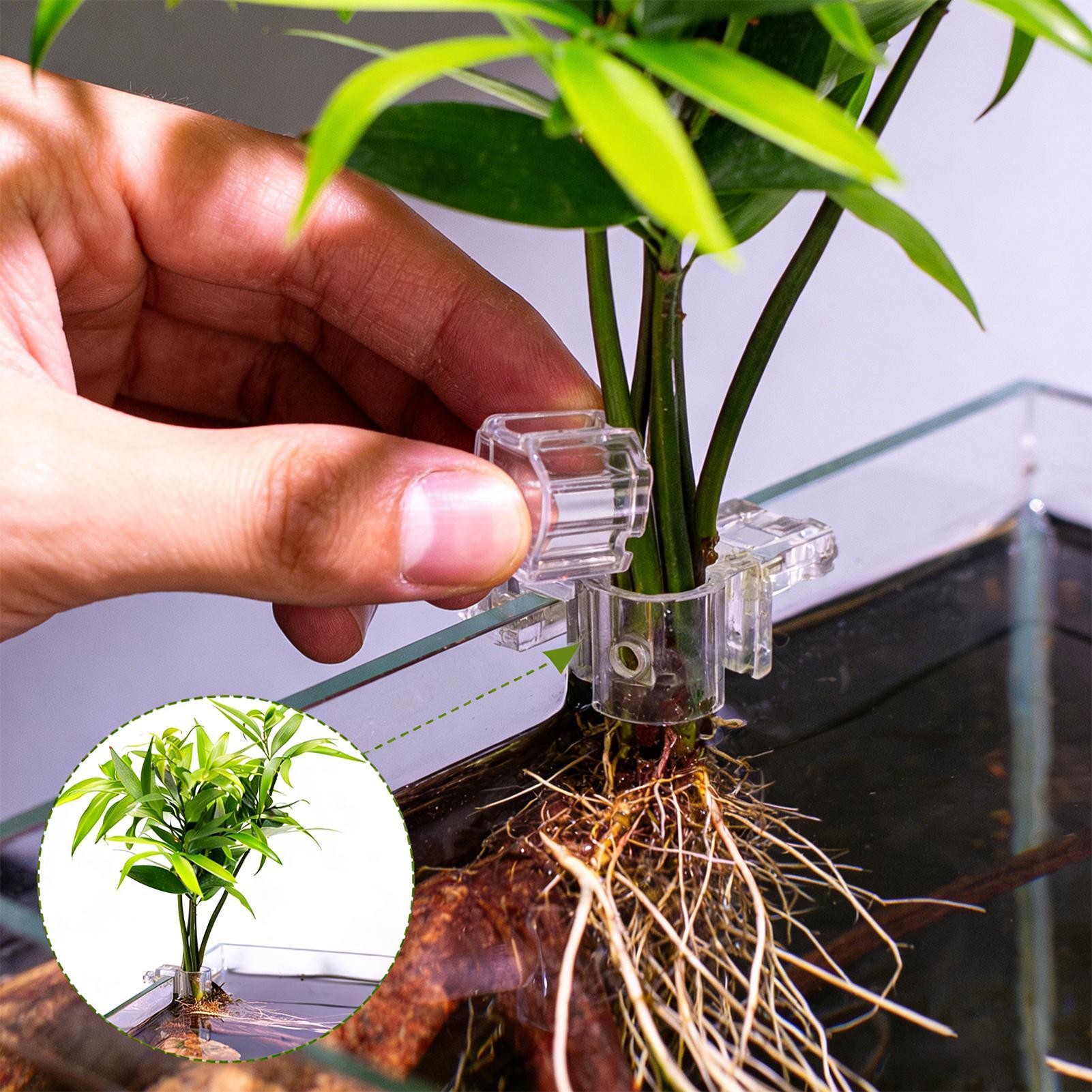 Aquarium Plant Ornament - 6 stuks aquariumplantenhouders, doorzichtige plantbeugel, ophangbare