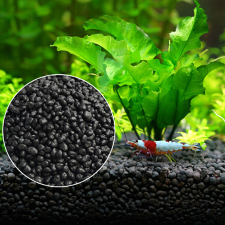 Aquarium Plant Delivery - Aquarium Plant Zaden Bodem Fishtank Substraat