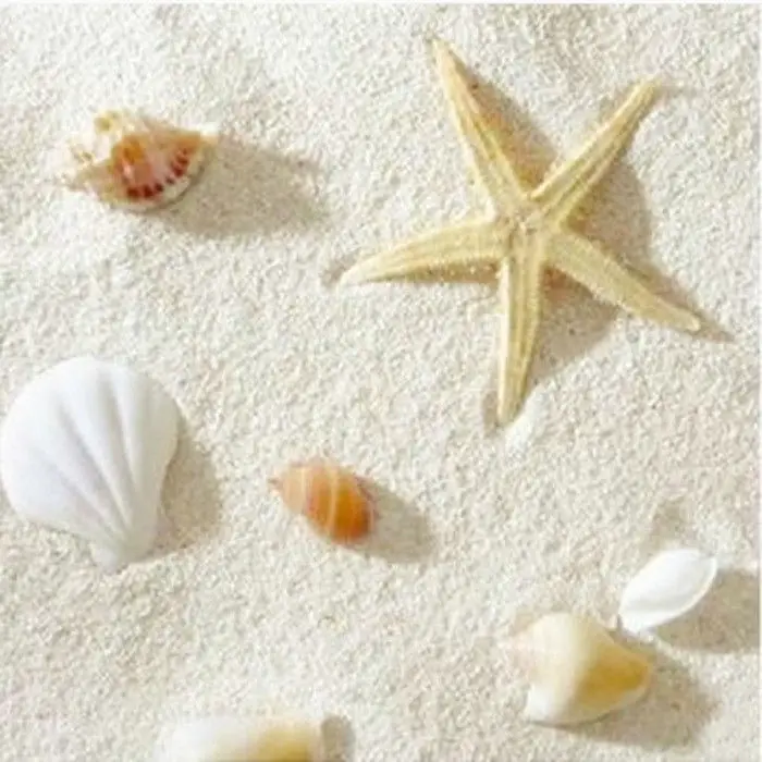 Aquarium Sand White - Naturelle Filippijnse zandkoraal landschapsarchitectuur witte schelp