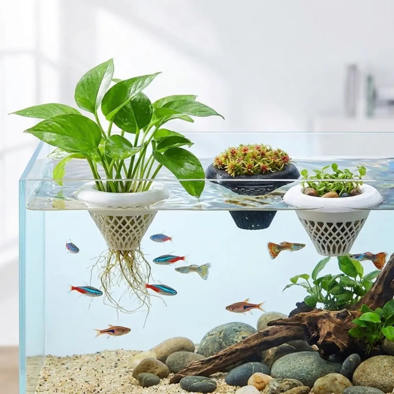 Drijvende aquariumplantenpot,  - Planted Aquarium Jar recensie en prijs