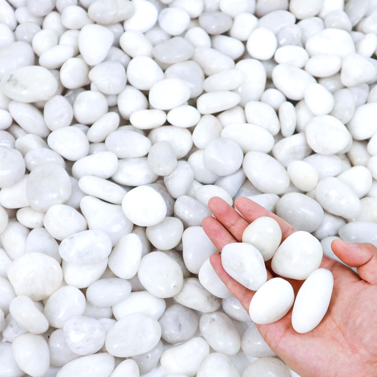 400g Witte Gepolijste Natuurli - Aquarium Sand White recensie en prijs