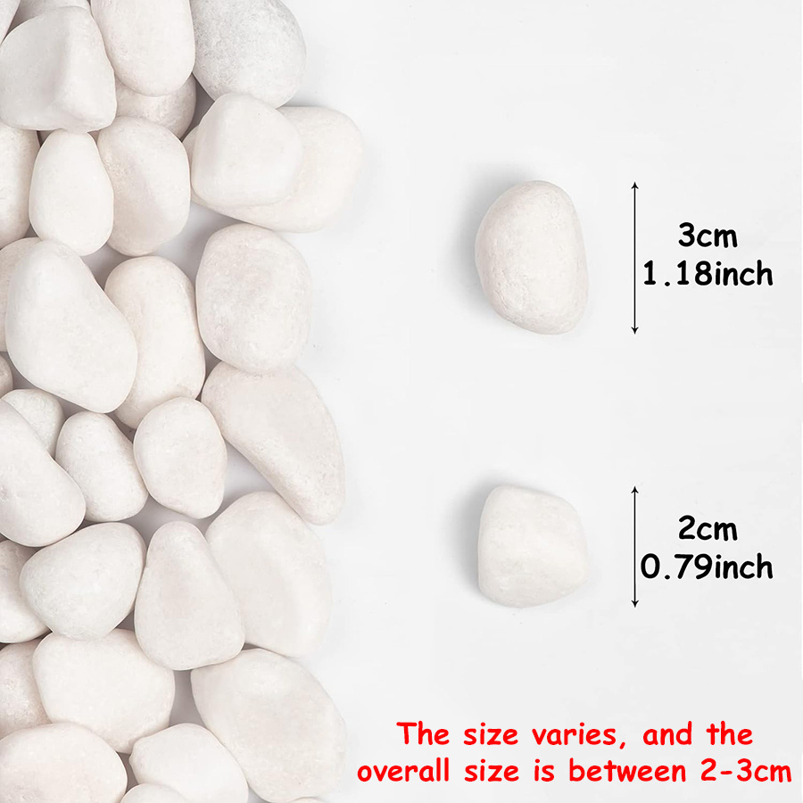 400g Witte Gepolijste Natuurli - Aquarium Sand White recensie en prijs