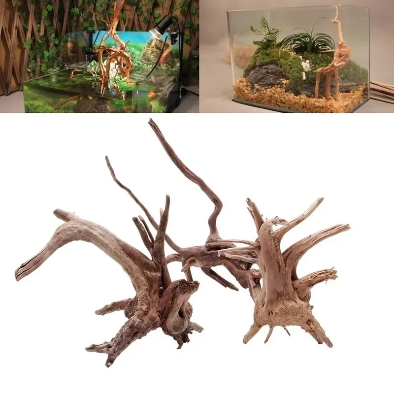 Natuurlijke Boomstam Drijfhout - Planted Aquarium Media recensie en prijs