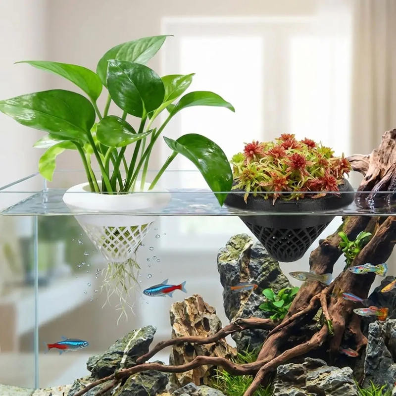 Drijvende aquariumplantenpot,  - Planted Aquarium Jar recensie en prijs