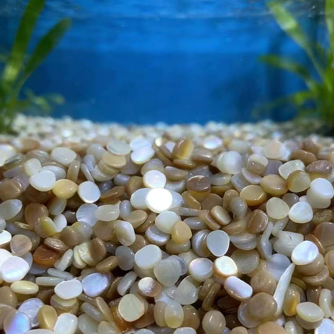 50 stuks 4-7mm Niet Geboord Na - Aquarium Sand White recensie en prijs