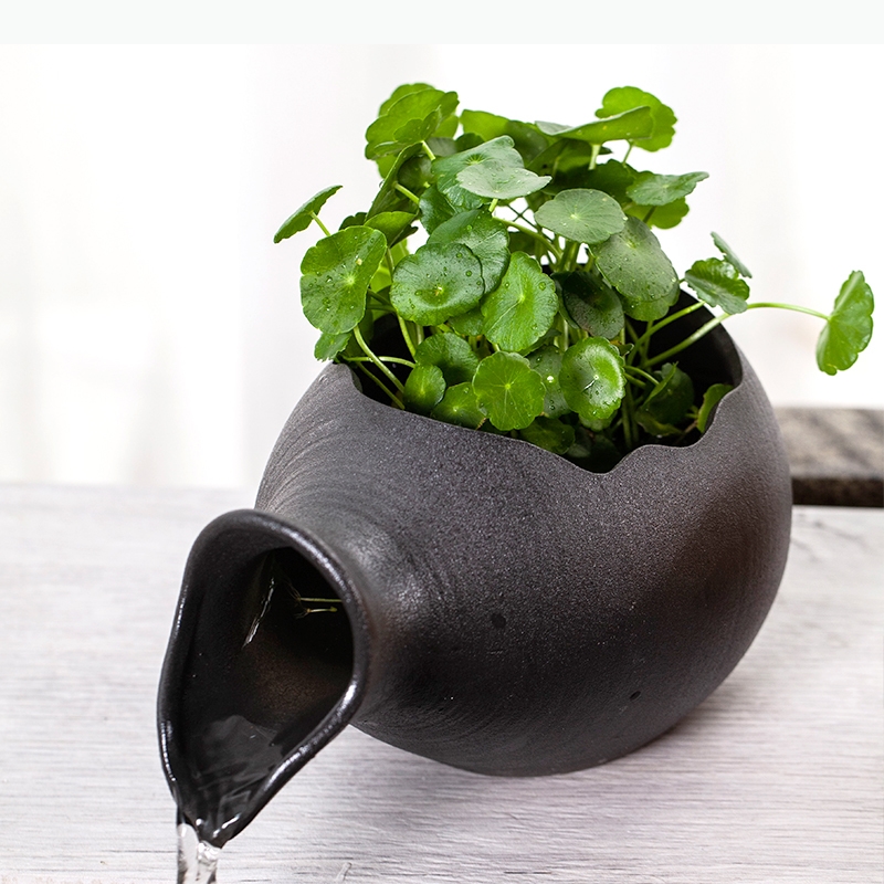 Keramische Vis Aquaria Vis-lan - Planted Aquarium Jar recensie en prijs