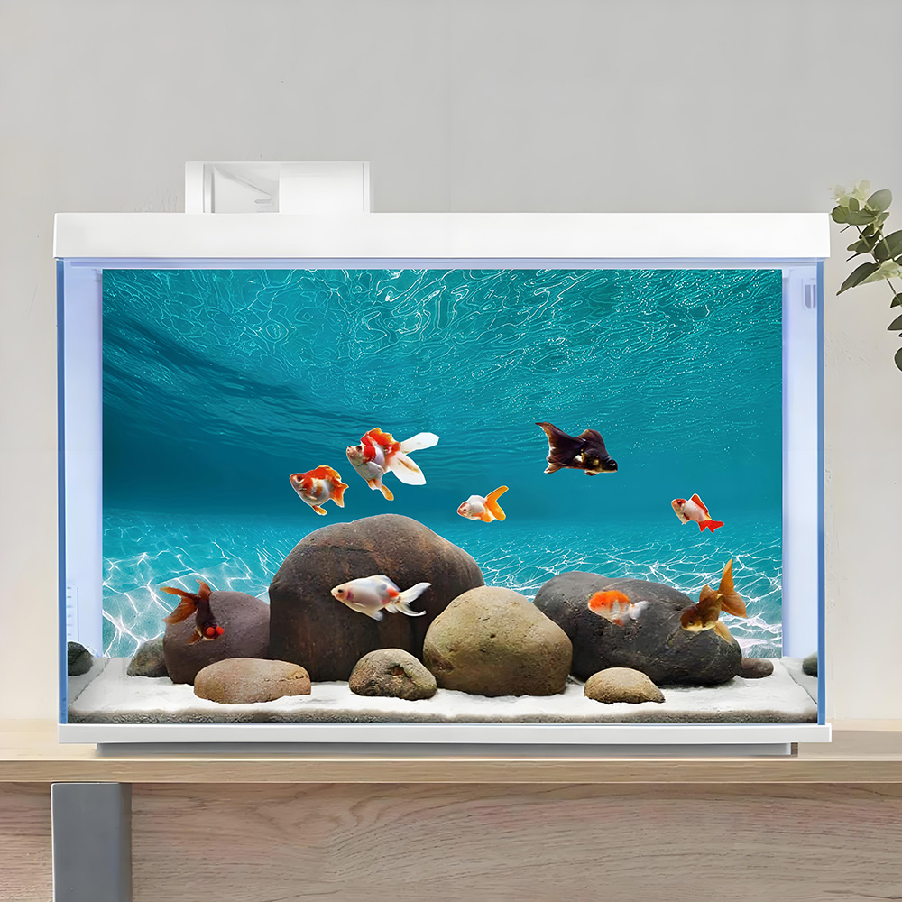 Aquariumachtergrond, achtergro - Aquarium Sand White recensie en prijs