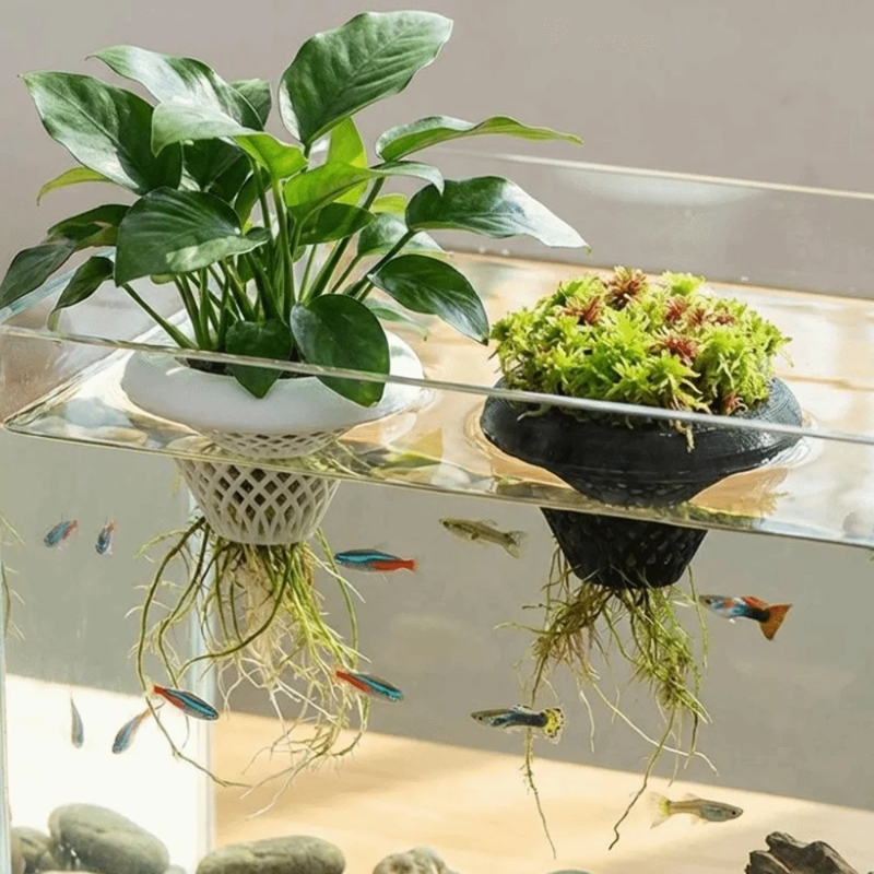 Drijvende aquariumplantenpot,  - Planted Aquarium Jar recensie en prijs
