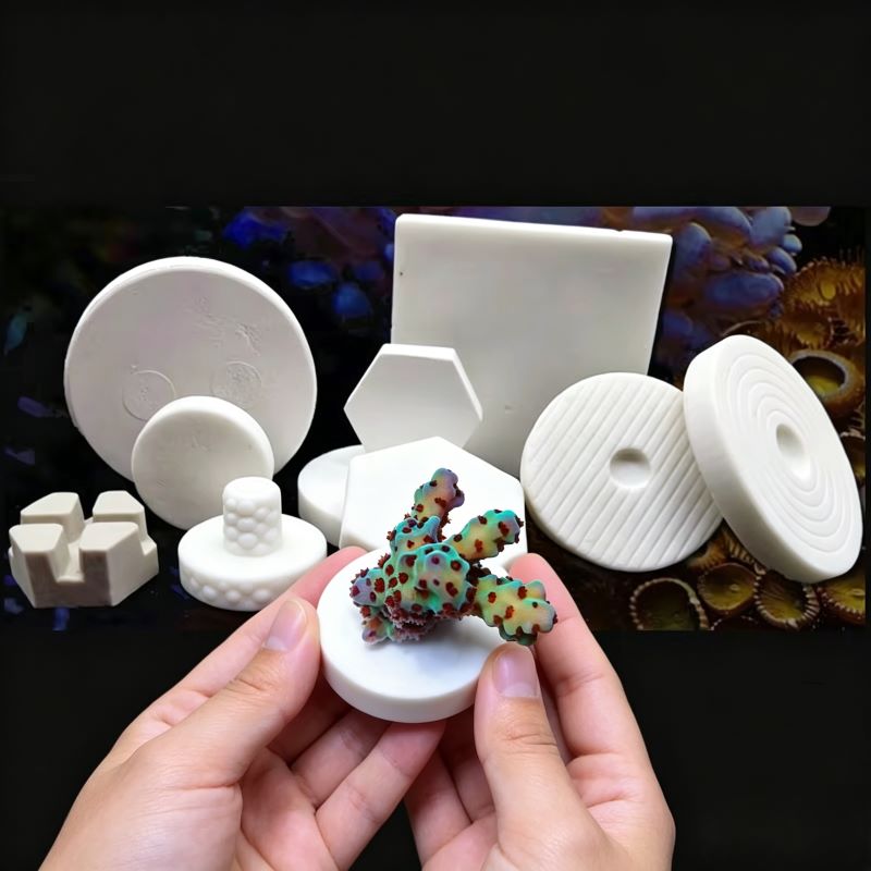 SPS Keramische Koraal Frag Plu - Aquarium Plant Ornament recensie en prijs