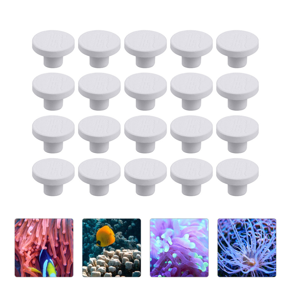 SPS Keramische Koraal Frag Plu - Aquarium Plant Ornament recensie en prijs