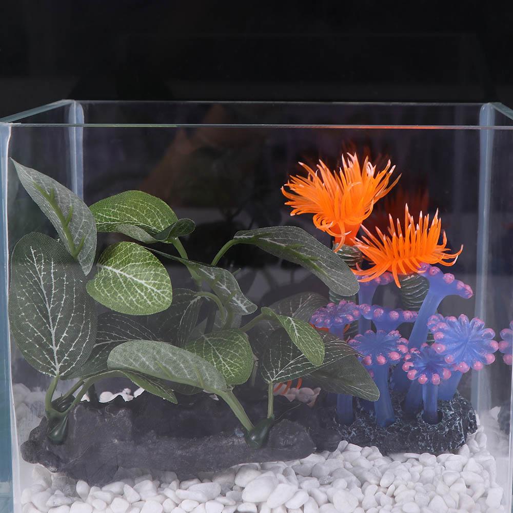 Creatieve zijdeachtige realist - Planted Aquarium Jar recensie en prijs