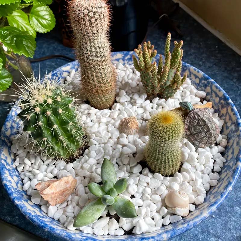 Natuurlijke witte kiezelstenen - Aquarium Sand White recensie en prijs