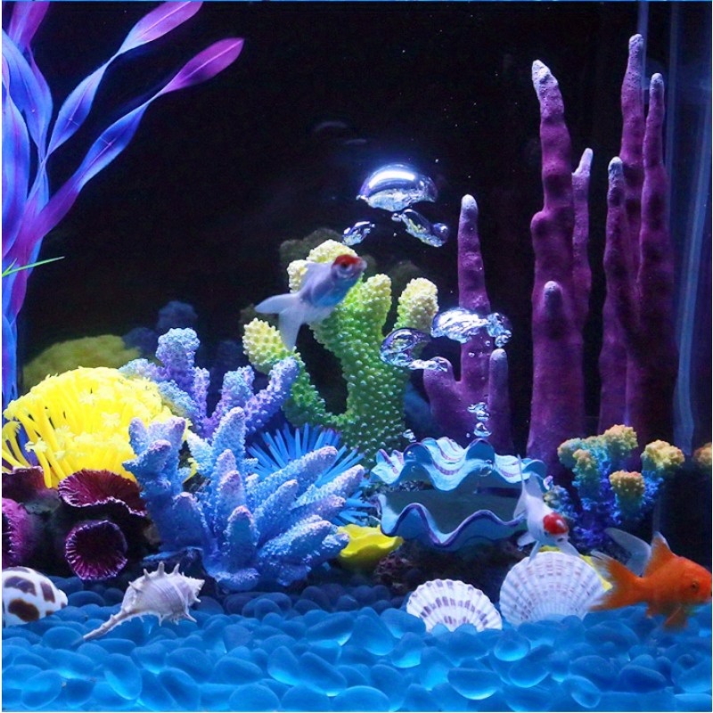 Aquariumdecoratie Steen Blauwe - Aquarium Planet recensie en prijs