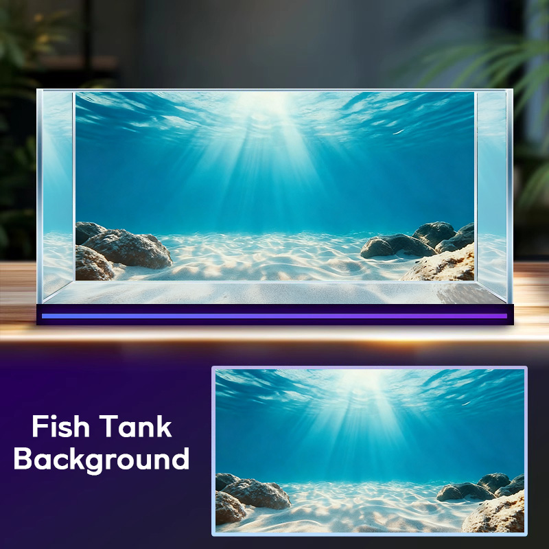Blauwe zee, helder zand, achte - Aquarium Planet recensie en prijs