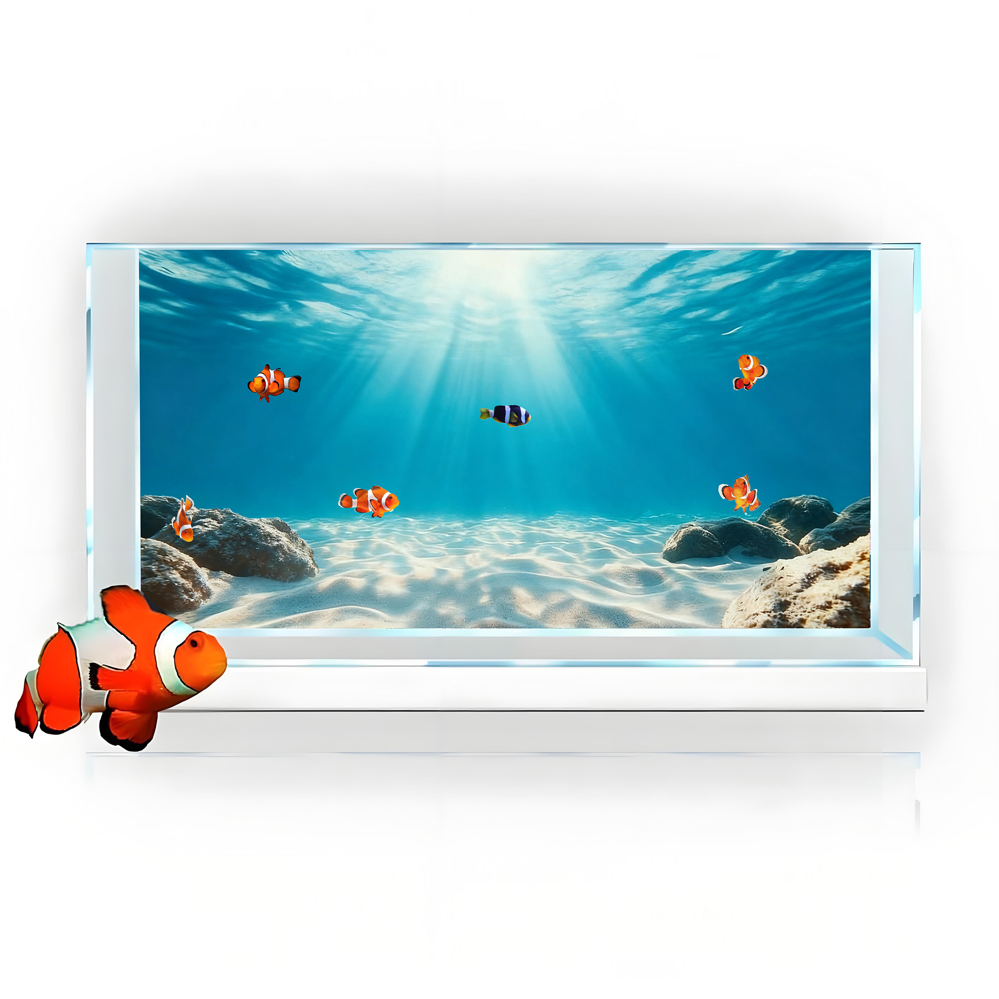 Blauwe zee, helder zand, achte - Aquarium Planet recensie en prijs
