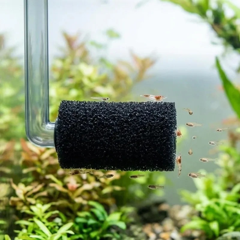 50/5x Pre-filter spons aquariu - Aquarium Planted Filter recensie en prijs
