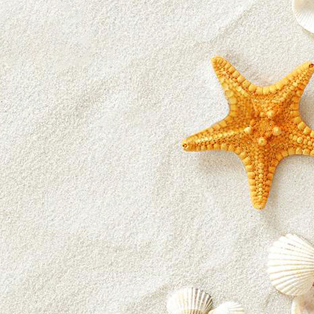 5 pakken van 80 g wit zand voo - Aquarium Sand White recensie en prijs