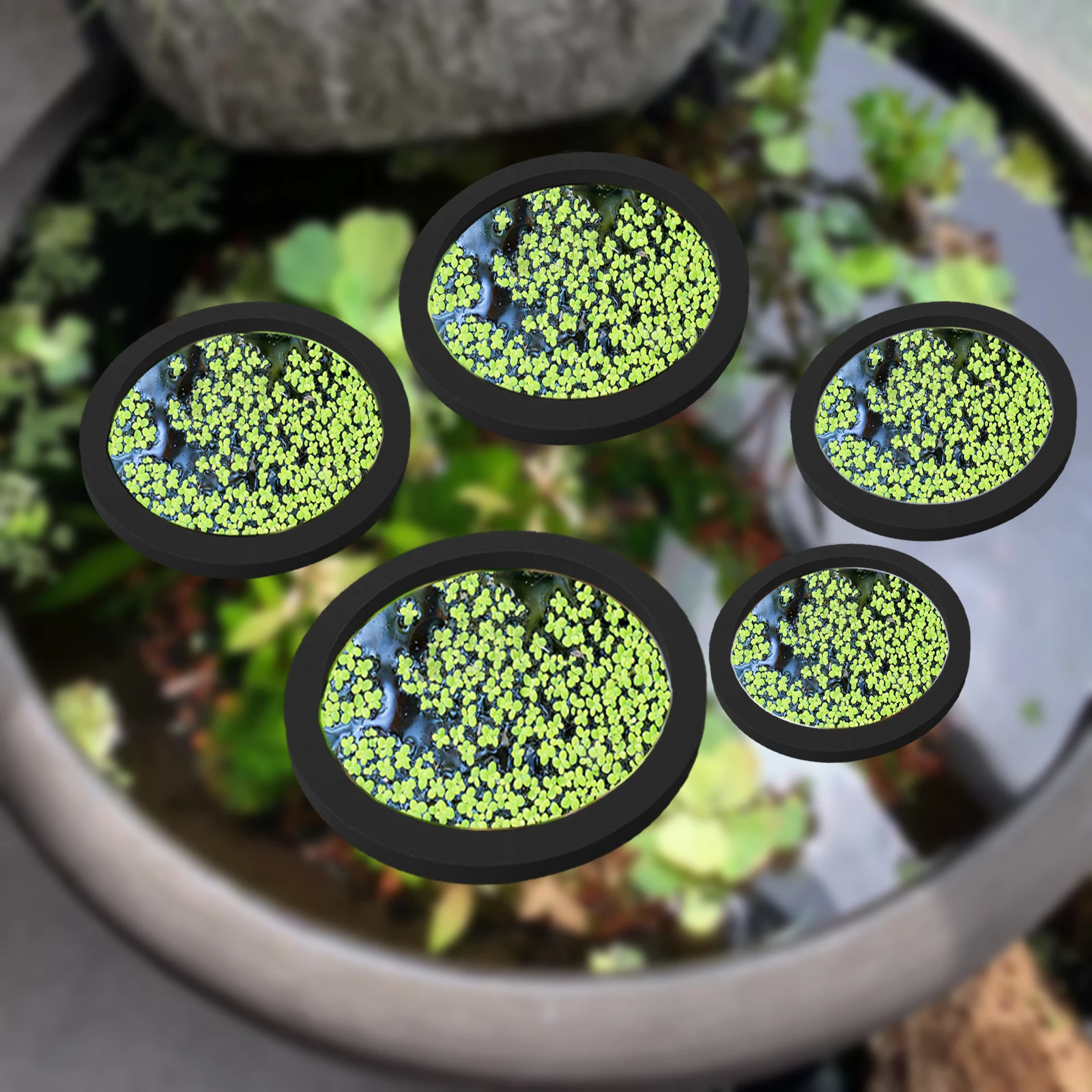 5 stks EVA Vis Voeden Ring Aqu - Aquarium Plant Delivery recensie en prijs