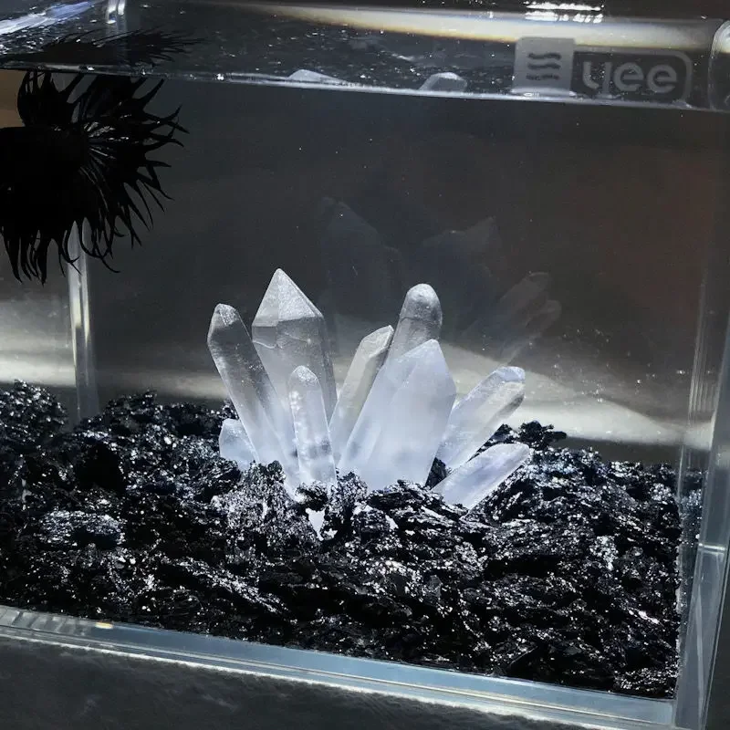 Creatieve Betta Tank Decor Cle - Aquarium Planet recensie en prijs