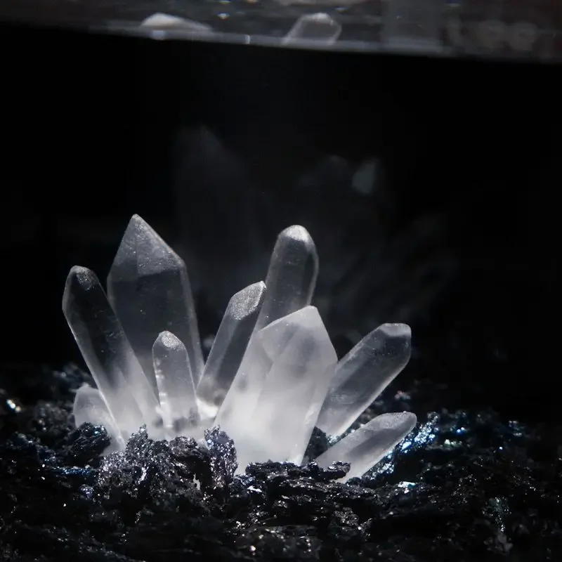 Creatieve Betta Tank Decor Cle - Aquarium Planet recensie en prijs