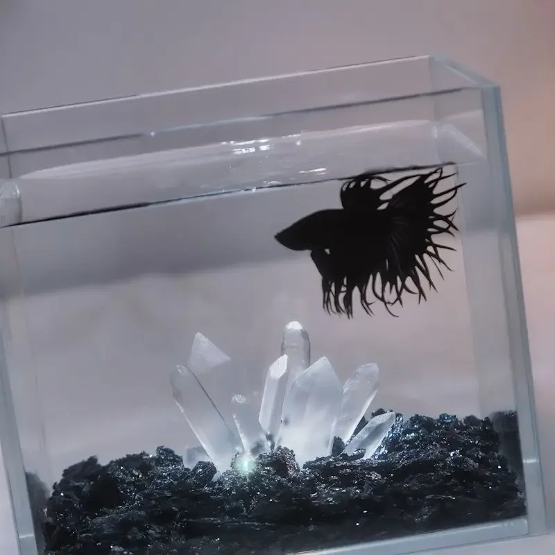 Creatieve Betta Tank Decor Cle - Aquarium Planet recensie en prijs