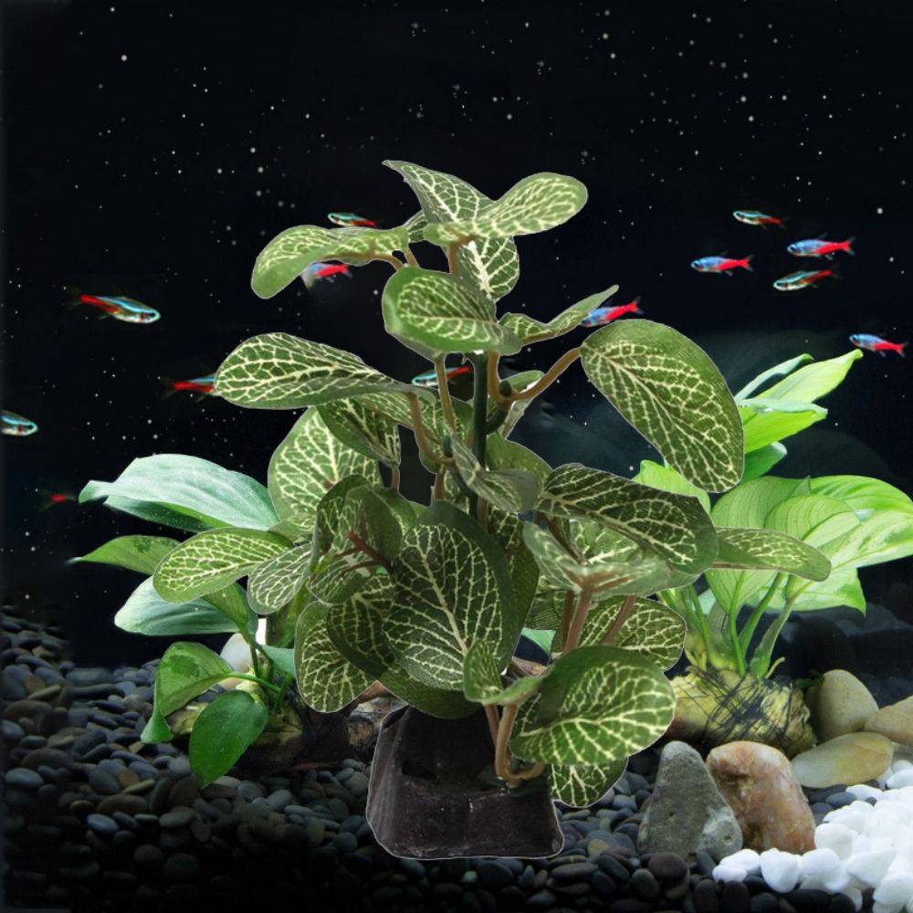 Decoratieve Zijde Realistisch  - Planted Aquarium Jar recensie en prijs