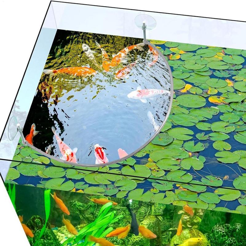 Drijvende plant Corral Fish Fe - Planted Aquarium Equipment recensie en prijs