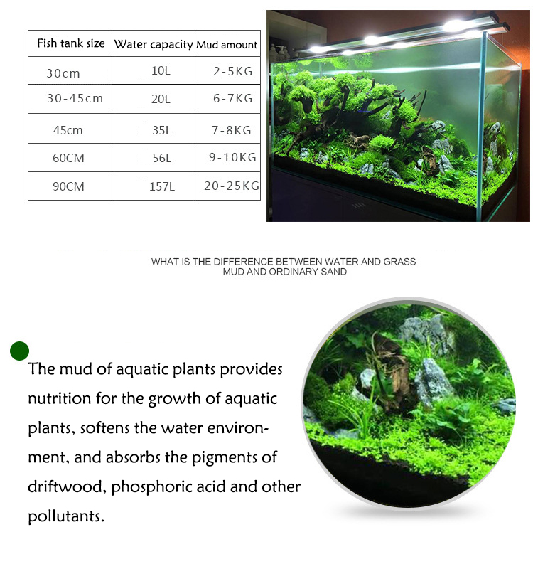 Aquarium Plant Zaden Bodem Fis - Aquarium Plant Delivery recensie en prijs
