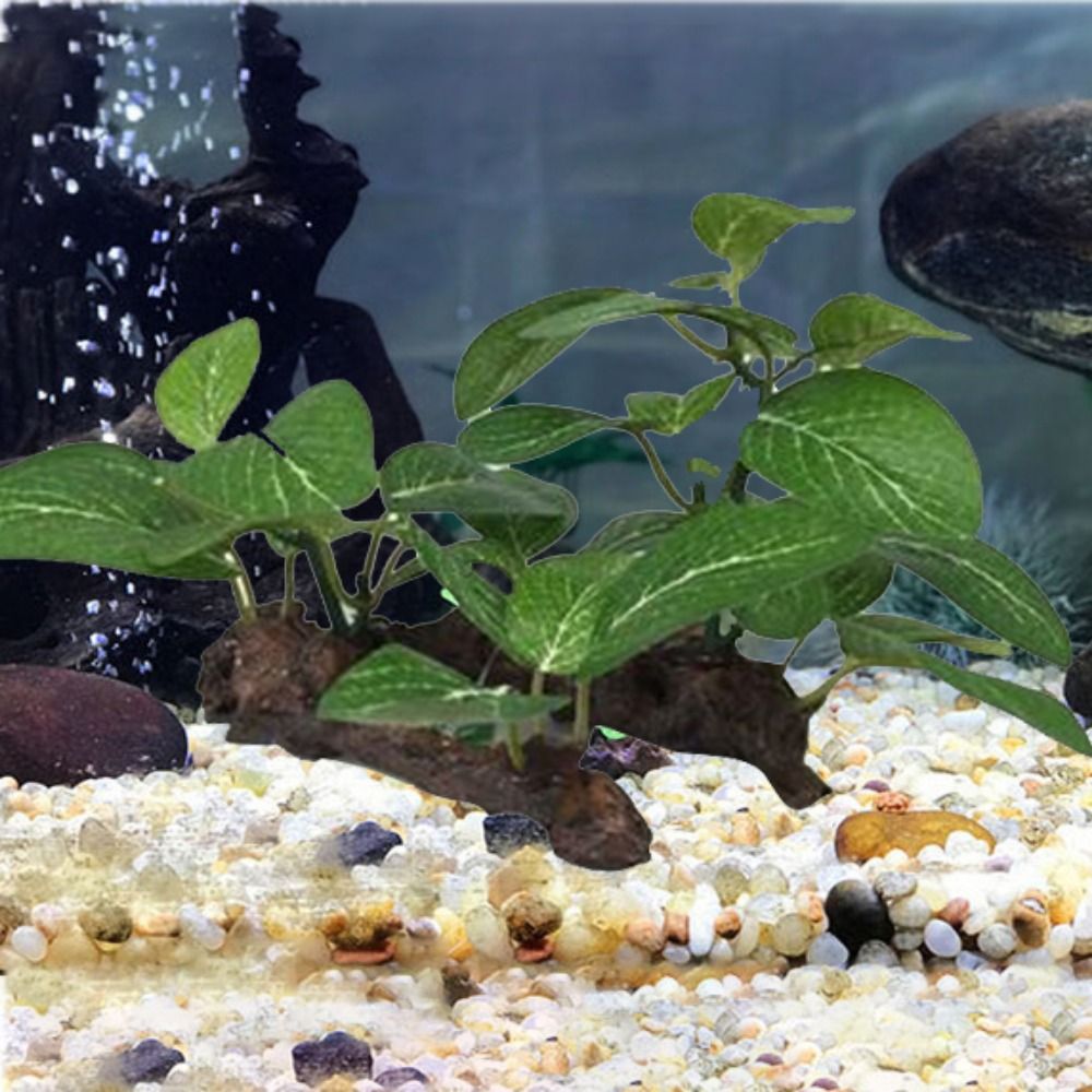 Zijdeachtige kunststof realist - Planted Aquarium Jar recensie en prijs