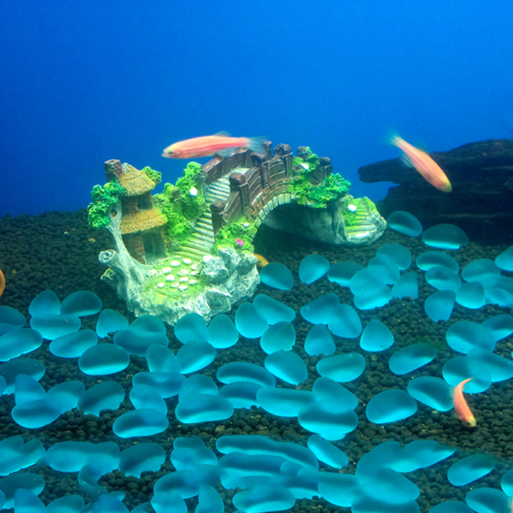 Aquarium Accessoires Prieel Bo - Planted Aquarium Media recensie en prijs