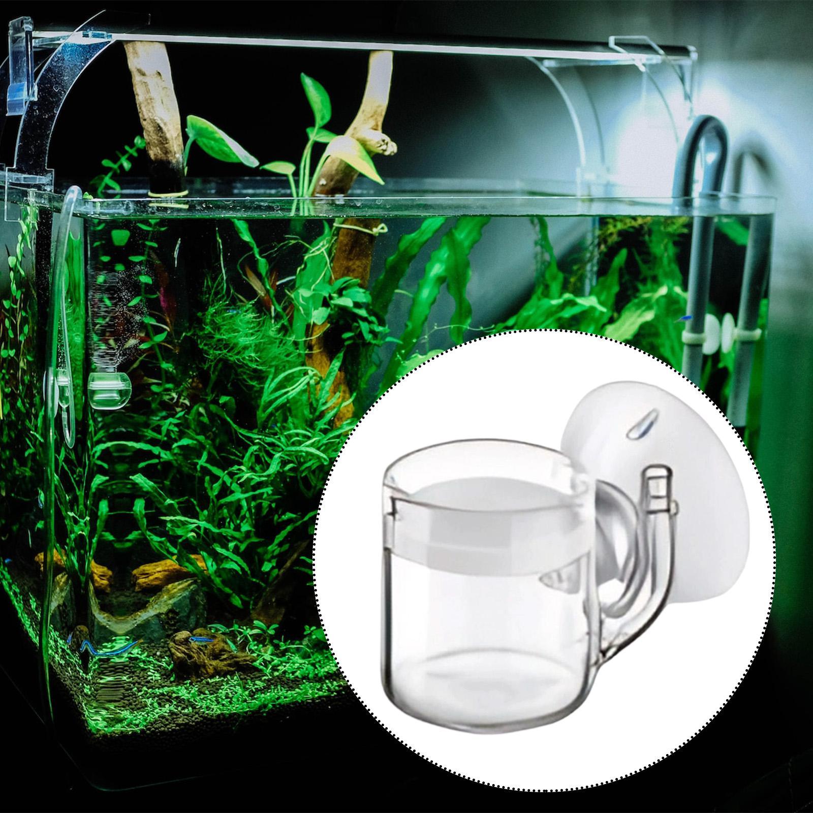 CO2-diffusor met platte bodem, - Planted Aquarium Equipment recensie en prijs