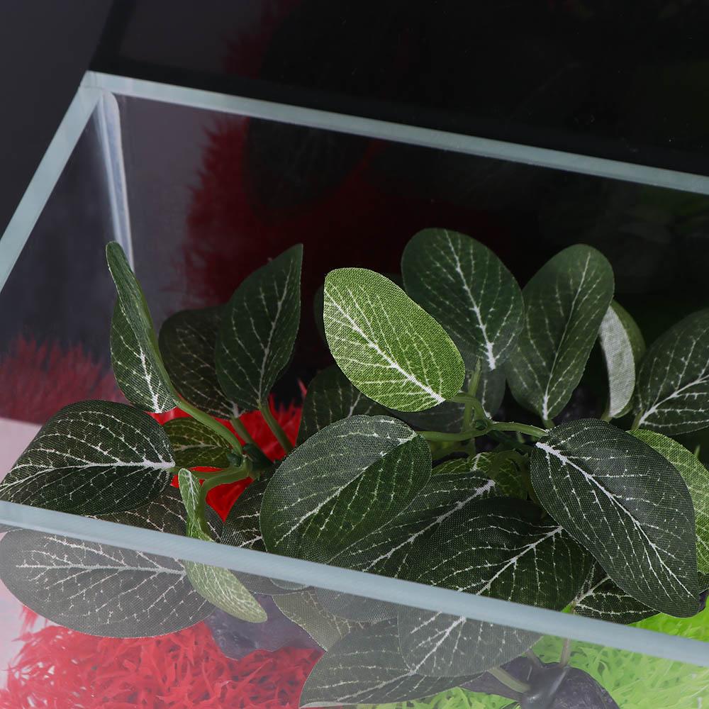 Kunstzijde in groen voor aquar - Planted Aquarium Jar recensie en prijs