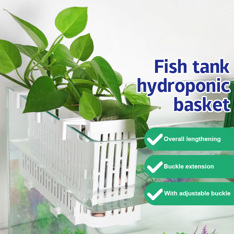 【F】Hangende plantenbak voor aq - Aquarium Plant Delivery recensie en prijs