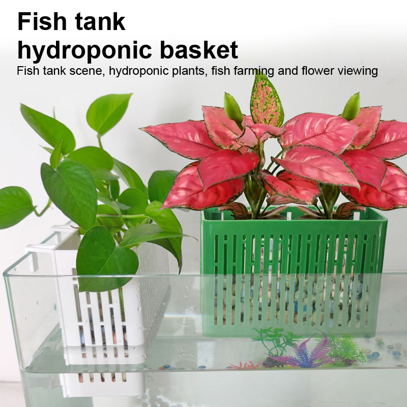 【F】Hangende plantenbak voor aq - Aquarium Plant Delivery recensie en prijs